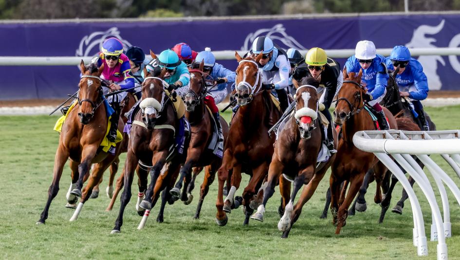 Breeders’ Cup Filly & Mare Turf, Breeders’ Cup Classic, Del Mar, Sovereignty, Fierceness, Sierra Leone, Journalism, Baeza, Mindframe, Forever Young, America's Best Racing, horse racing, ABR